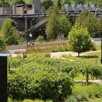 Picture of the west side of Symons campus taken from the east side.