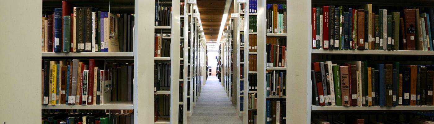 bookshelves on both sides with a path through the middle