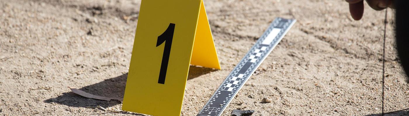 yellow number marker placed on ground on a sunny day