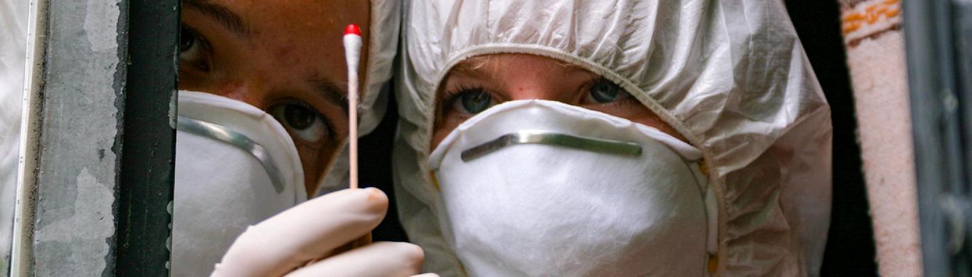 two forensic workers look at a swab of blood on a cotton swab