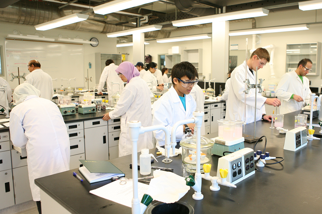 Chemistry students in a lab