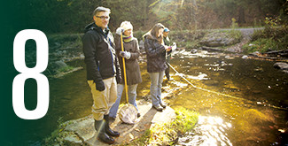 Environmental students working in a river stream