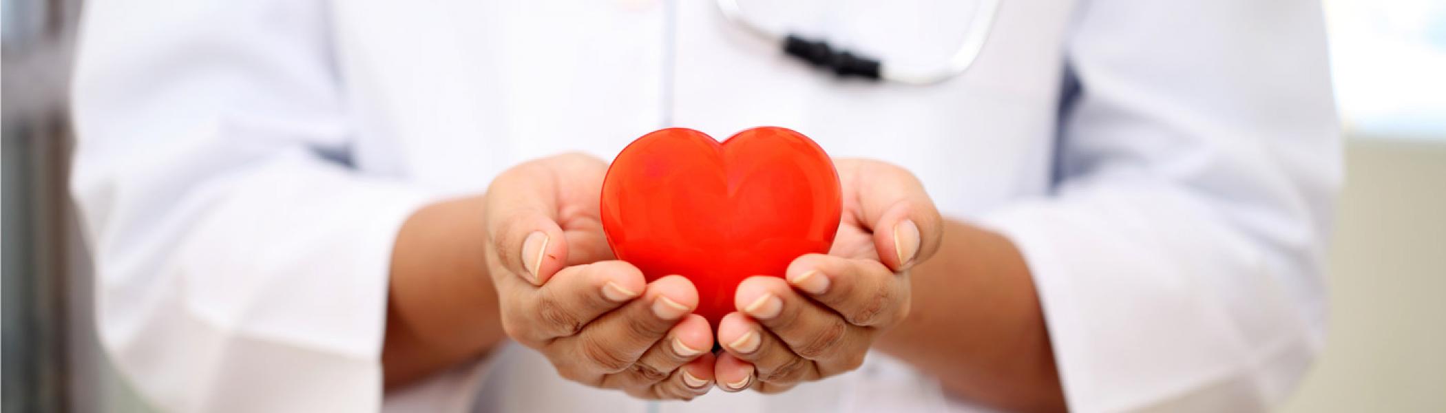Medical professional holding a heart shape in their open hands. 