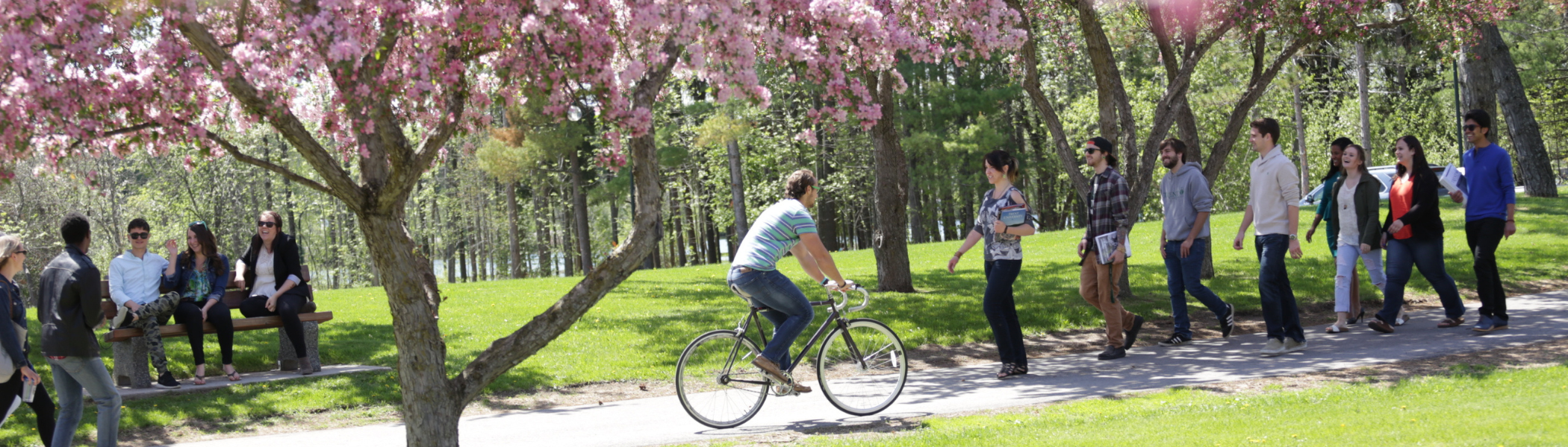 A group of visitors to Trent University walk and bike along a pathway on the Peterborough campus.