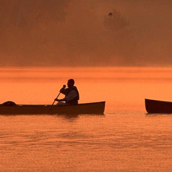 Two canoes with 2 people in each one, paddling acorss a lake at sunset