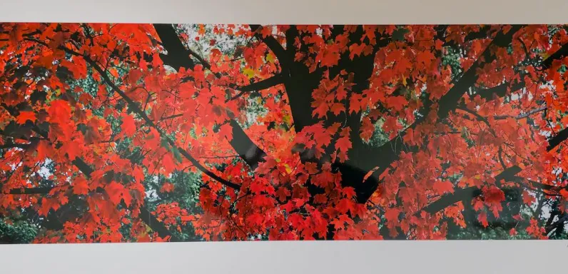 gallery-20.jpeg
