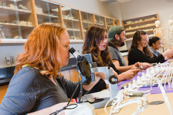 anthropology students in lab