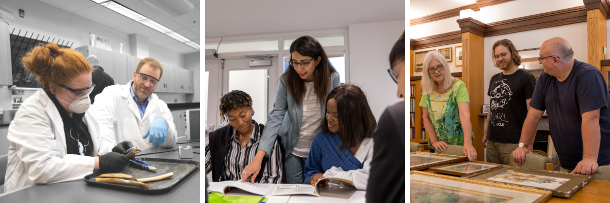 students and professors