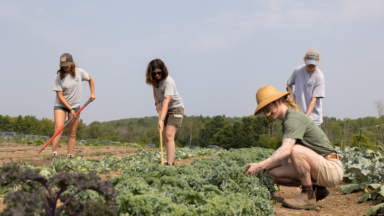 students at research farm