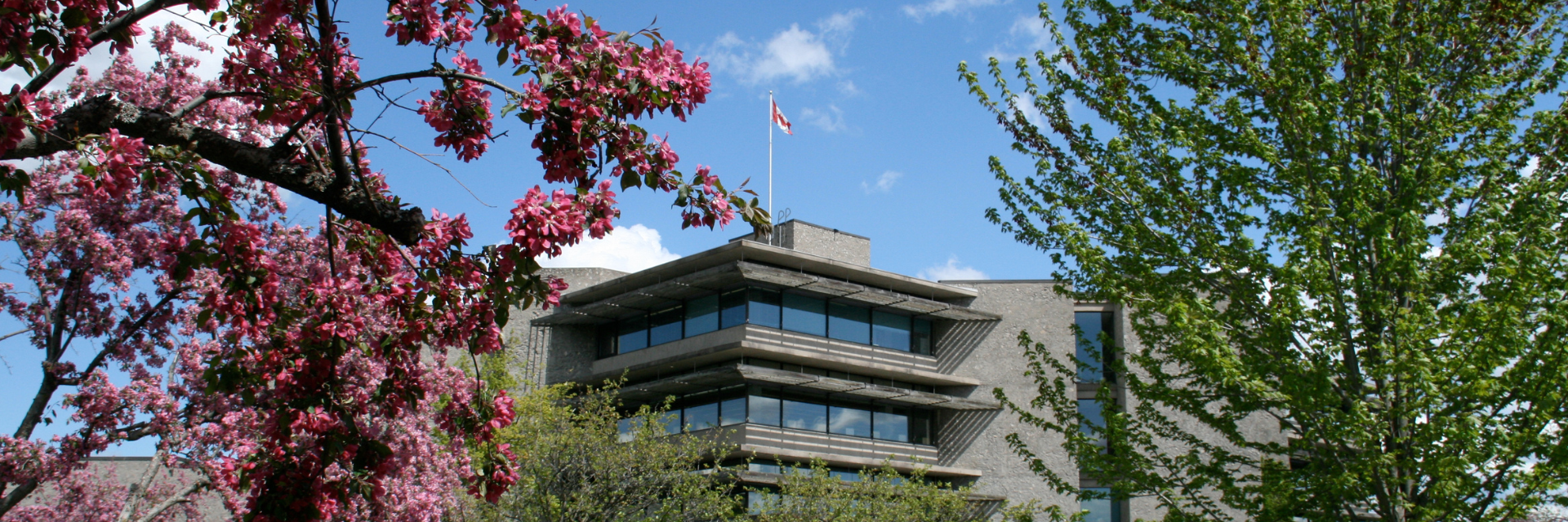 Bata library seen through flowering trees