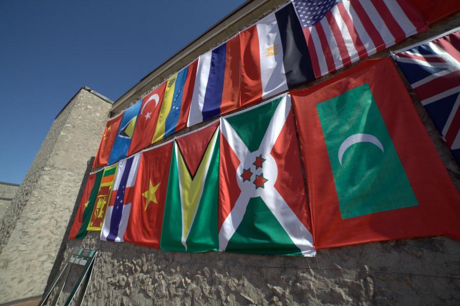 international student flags