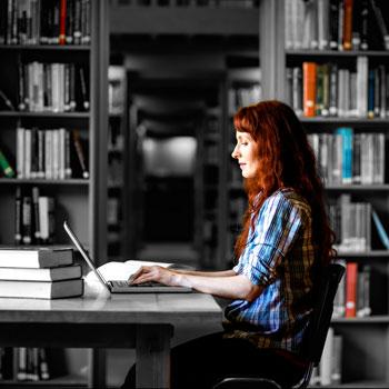 Student applying online to graduate studies at Trent University. 