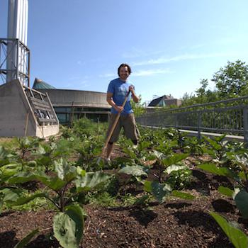 environmental grad student digging in garden