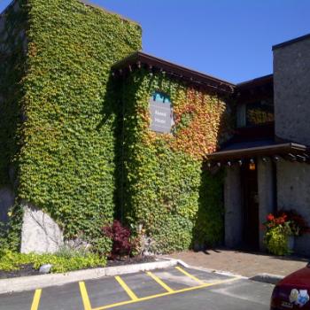 Outside of Alumni House main entrance with plants covering most of the exterior walls