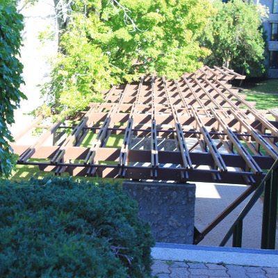 Champlain Trellises in the Summer daylight with trees and other plants growing in abudance
