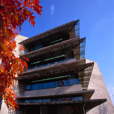 Outside image of Bata library in the fall