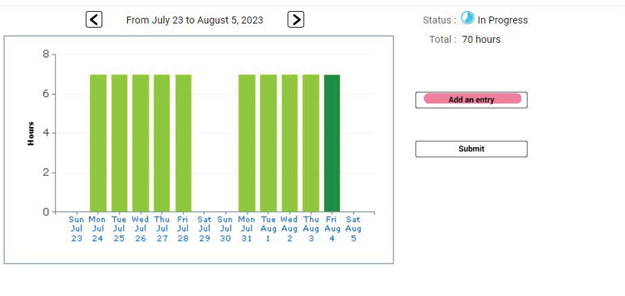 View of the Add an Entry window