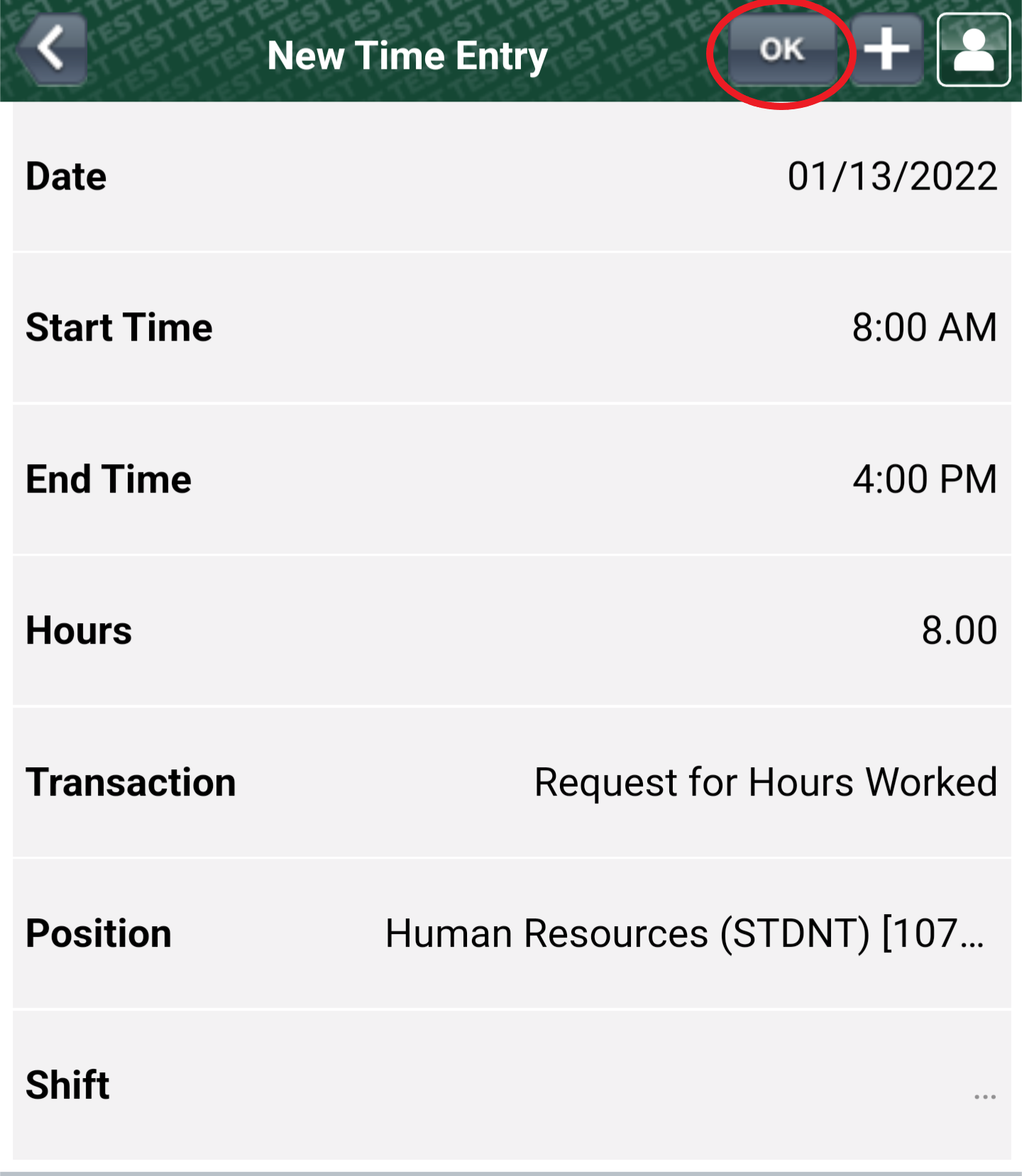 New Time Entry Details