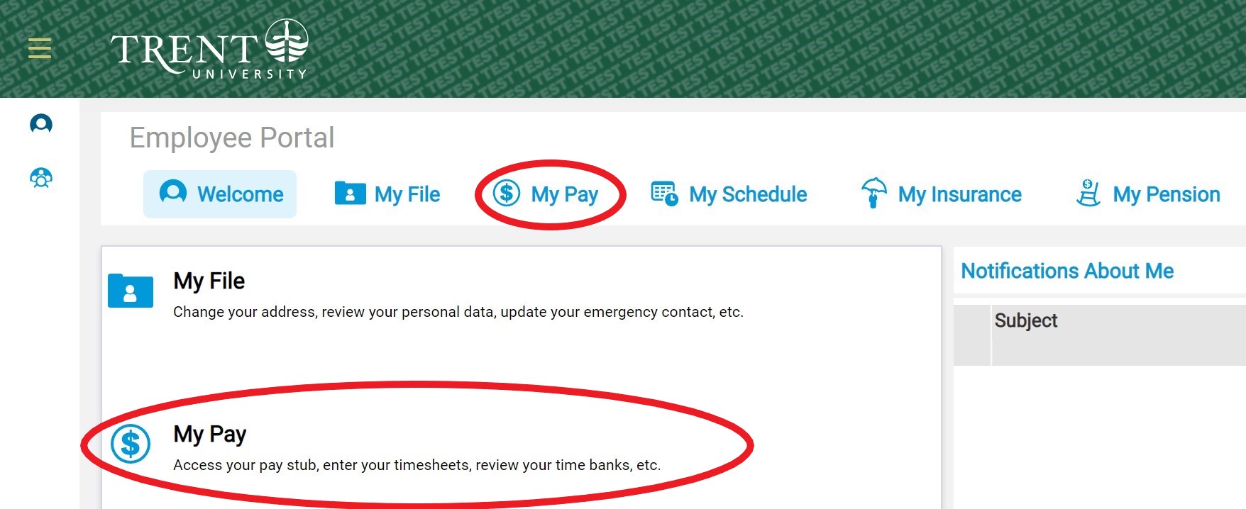 click on VIP My Pay Icon to access timesheet