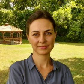 Professor standing in a field with trees