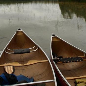 from of 5 canoes in water