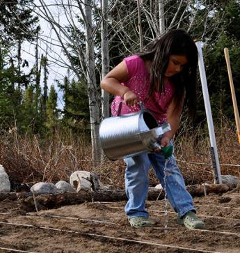 Community Based Food Initiatives Aimed at Addressing Chronic Health Issues Among Indigenous Populations