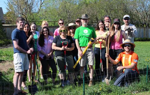 Trent Oshawa Greens in the organic community garden on Trent's Thornton Road Campus