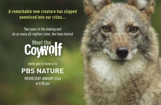 Trent University Biology Professor Dr. Brad White on PBS's Nature, January 22