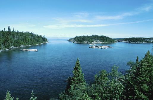 Trent University Professors Awarded More Than $1 Million in Strategic Project Grants for Environmental Research