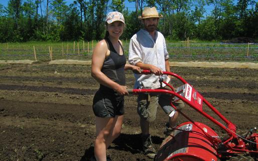 Trent Market Garden Brings Organic Produce to Campus 