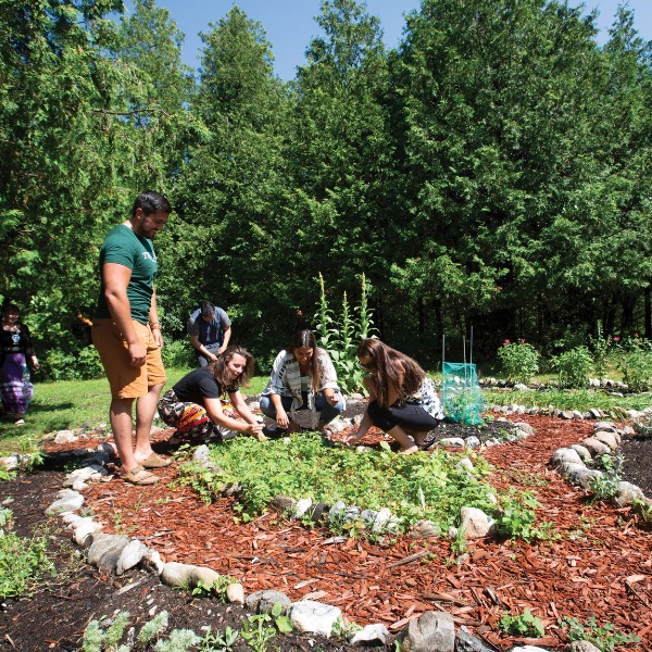 Students working in a garden