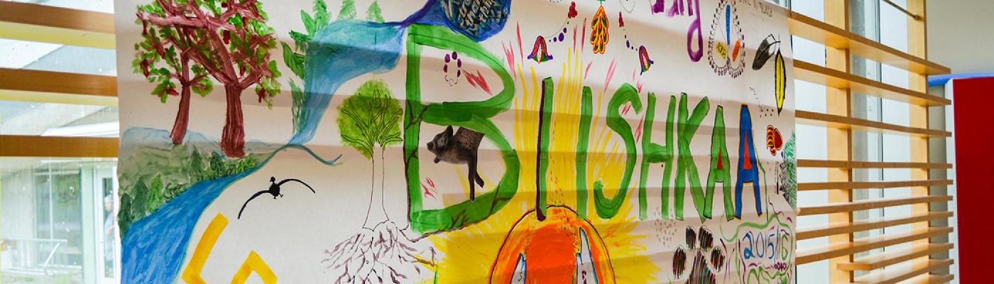 A poster painted with the word BUSHKA in the middle