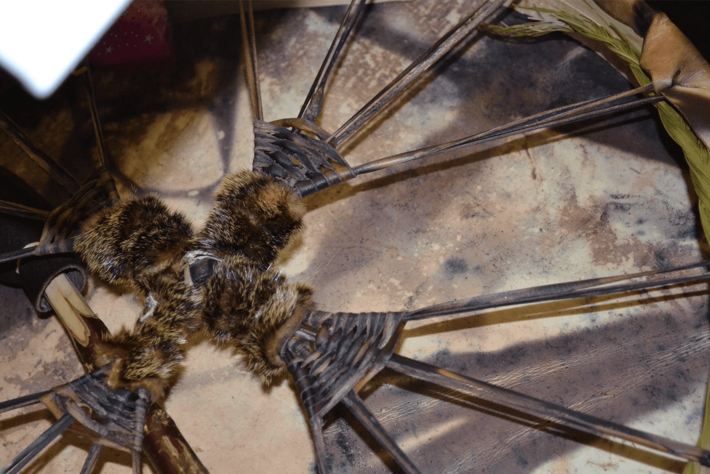 First Peoples House of Learning 