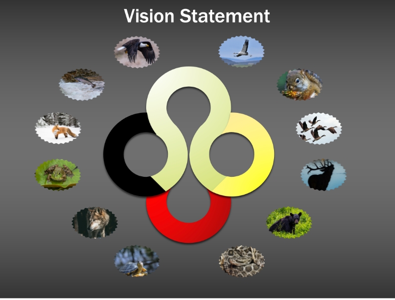 Vision Statement graphic which contains a unique medicine wheel where the colours blend together where they meet. Yellow is in the east, red in the south, black in the west and white in the north. Surrounding the medicine wheel are small round images of animals such as: eagle, squirrel, geese, deer, bear, snake, turtle, wolf, frog, fox, and salmon