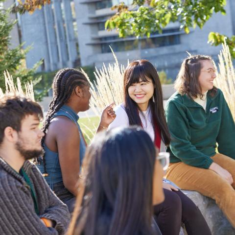 English for University Program