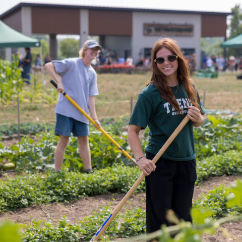 Trent students working in the field of Trent's Research Farm