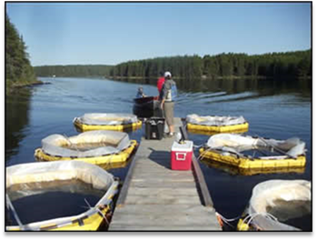 Researchers standing on a dock on a lake, adding nanosilver to mesocosms.