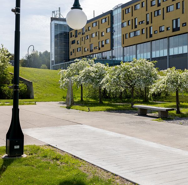 A light post and some foliage in front of Gzowski College
