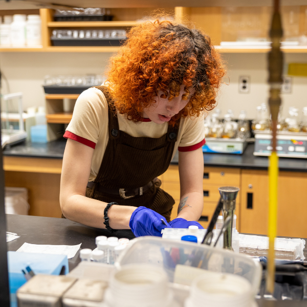 Student working in lab