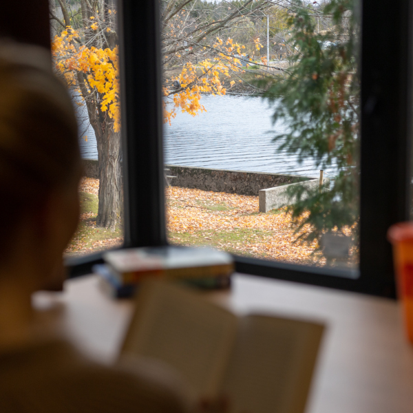 A person reads a book facing a window