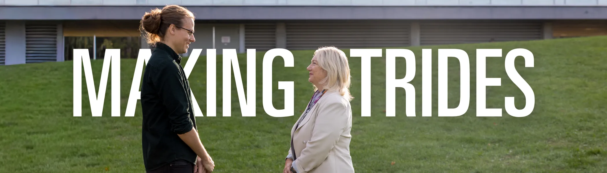 Making Strides Banner