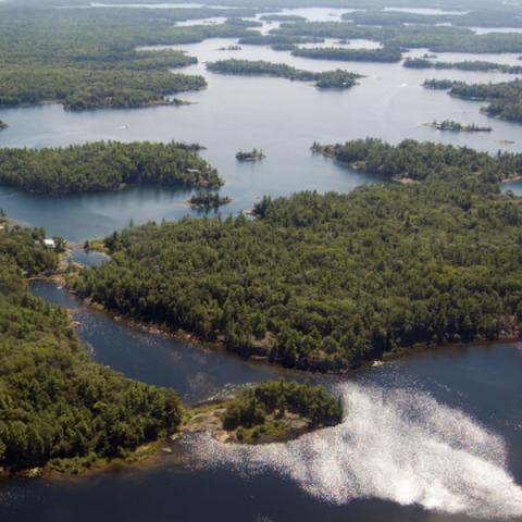 Aerial photo of water and forests
