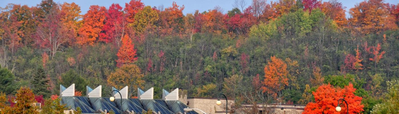 Lady Eaton Drumlin in the fall behind Champlain College