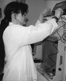 Wendy Stott at Fish Lab