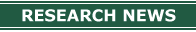 research news