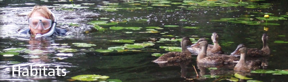 habitats