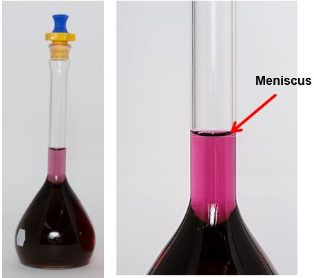 Meniscus