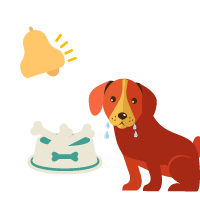 bell ringing and food being presented leads to a dog salivating