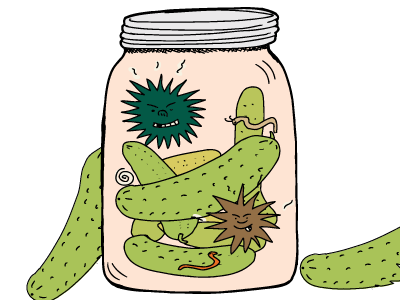 poisonous pickles picture
