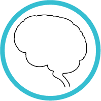 cerebral cortex icon